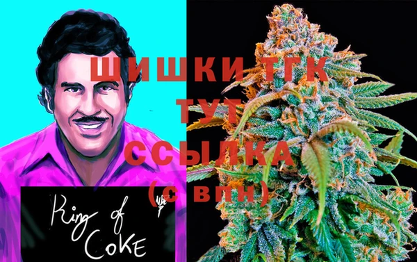 винт Нягань
