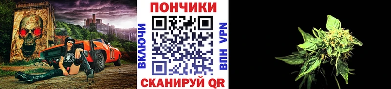 Шишки марихуана White Widow  блэк спрут как зайти  Павловск 